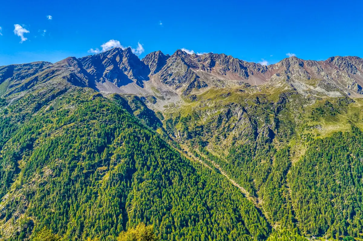 Die Straße über den Gaviapass durch Bergwiesen