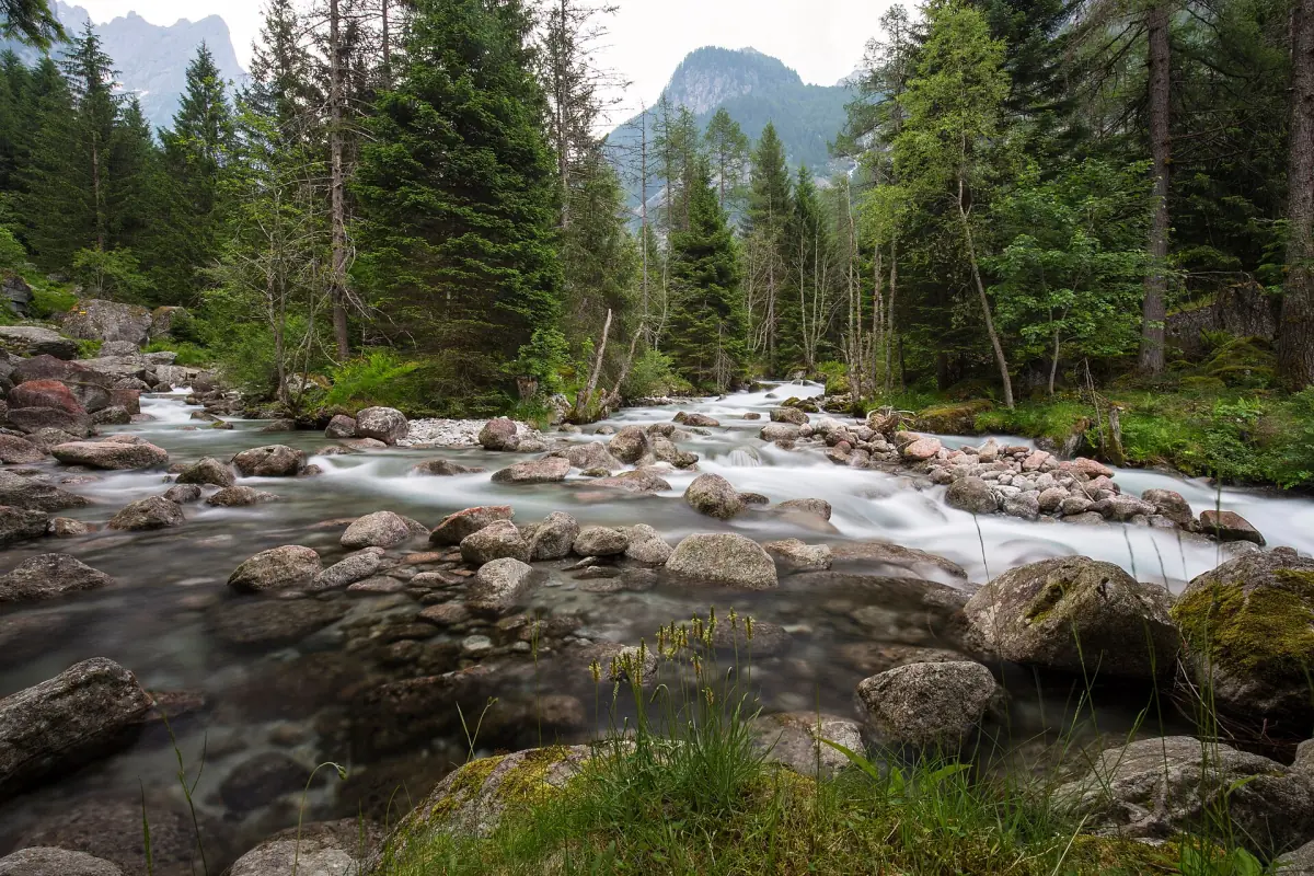 Der Bach im Val di Mello durch den Wald