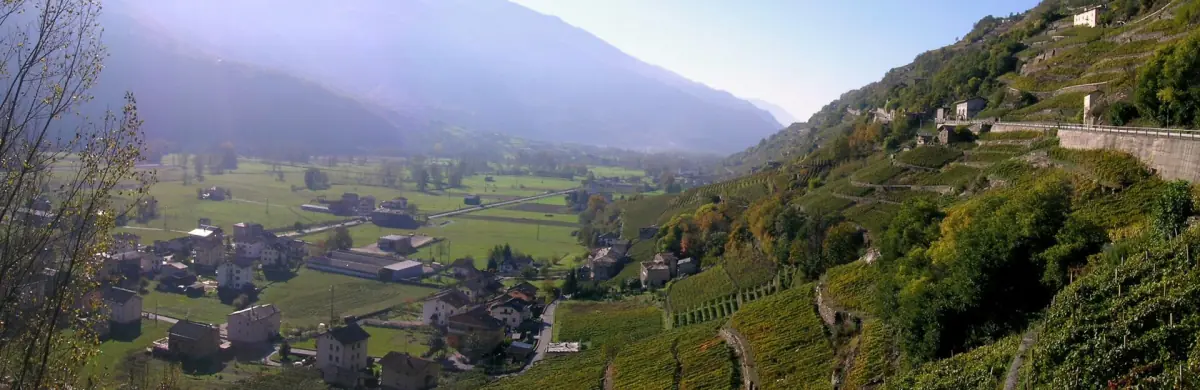 Weinberge der Valgella unterhalb von Teglio